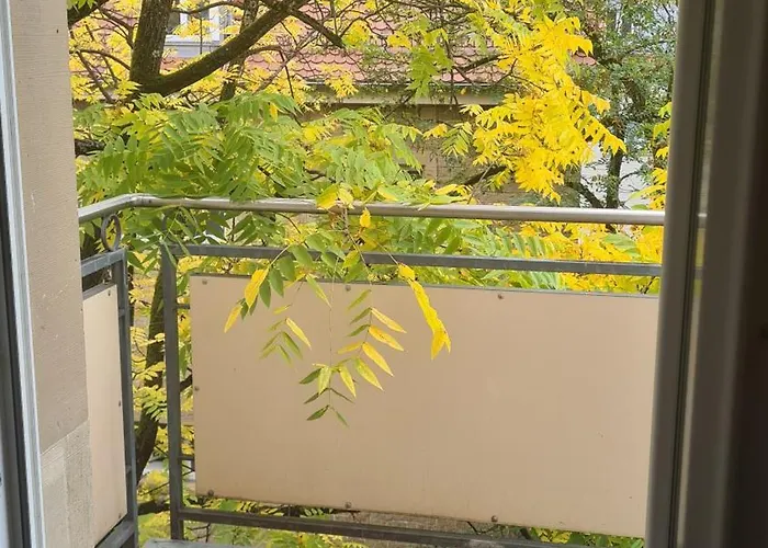 Modernes Mit 3 Zimmern Appartement